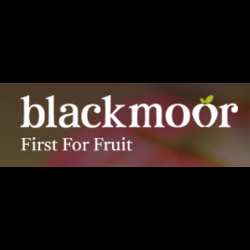 Blackmoor Nurseries